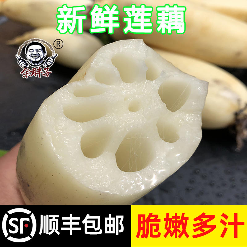 新花藕4斤湖北洪湖嫩莲藕生吃脆藕尖新鲜现挖凉拌特产新藕