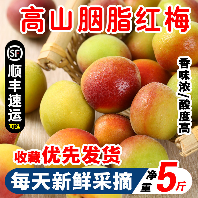 胭脂梅2026青梅鲜果新鲜福建诏安高山胭脂红梅子泡酒水果酵素5斤