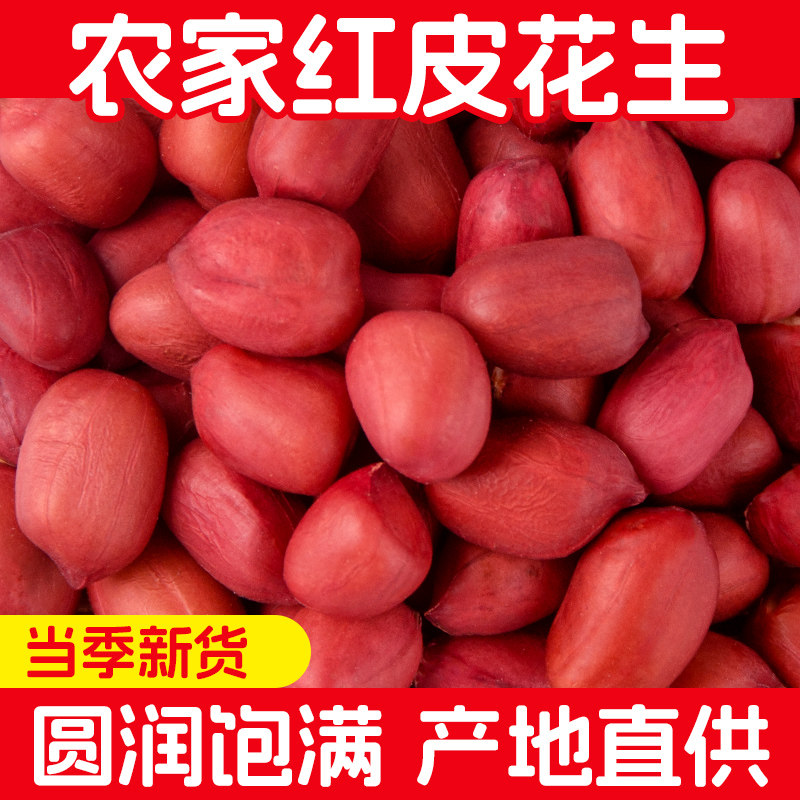 干燥花生花生米500g四川大巴山自产花生仁新货不带壳优质新红皮花