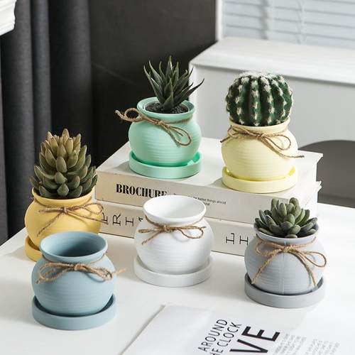 莫兰迪小圆罐陶土多肉植物小花盆