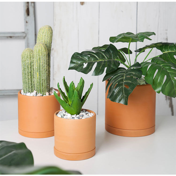 红陶透气花盆素烧陶土圆柱形直筒简约家居花卉仙人球红土盆带托盘