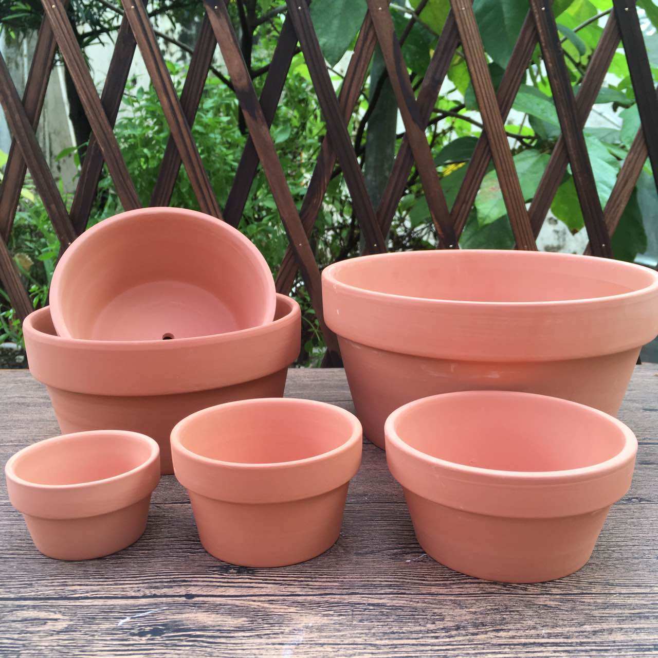 矮款红陶圆形花盆  红陶多肉小花盆 矮款育苗大号盆带底孔花盆,鲜花速递/花卉仿真/绿植园艺,花盆,淘宝优惠券,粉丝福利购,淘宝优惠卷