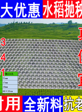 手抛育秧盘水稻育苗盘耐用晚稻透明加厚塑料434孔561孔353抛秧盘