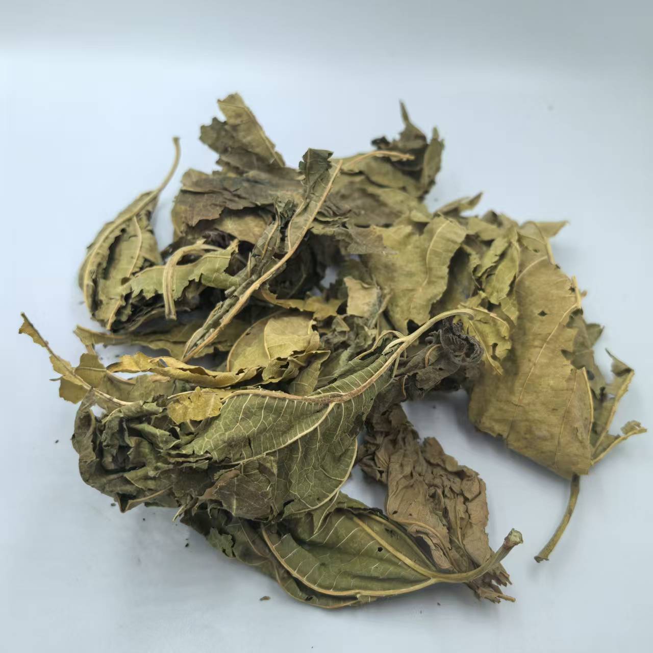 桑叶野生无硫正品桑叶500g包邮