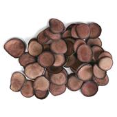 血片腊片 泡酒 吉林家鹿 鹿茸片 包邮 纯正 500g克1500元 正品