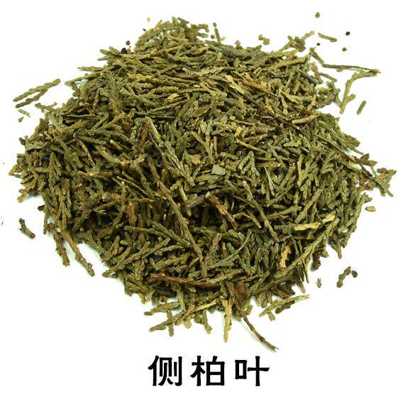 侧柏叶 拍5件包邮 柏树叶 柏叶 扁柏叶 500g克 中药材供应