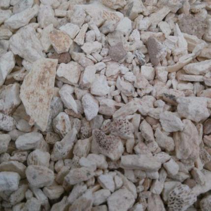 龙骨块 2斤包邮 生龙骨五花龙骨煅龙骨白龙骨龙骨石 500g克中药材