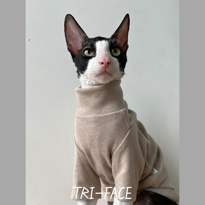 三角脸秋冬保暖猫衣服