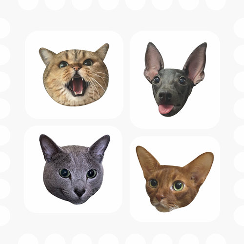 海柱系列周边磁吸贴猫咪磁铁高清亚克力装饰娟子果子礼物