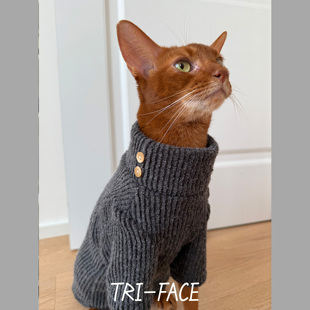 三角脸无毛德文阿比暹罗豹猫秋冬季保暖高领针织猫咪衣服毛衣