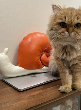 Heleworld全真皮玩具玩偶元气蜗牛纯手工绵羊皮制作收藏版