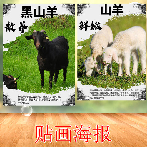 海报贴画小山羊黑山羊背胶自贴图案墙壁装饰写真白羊大幅壁纸