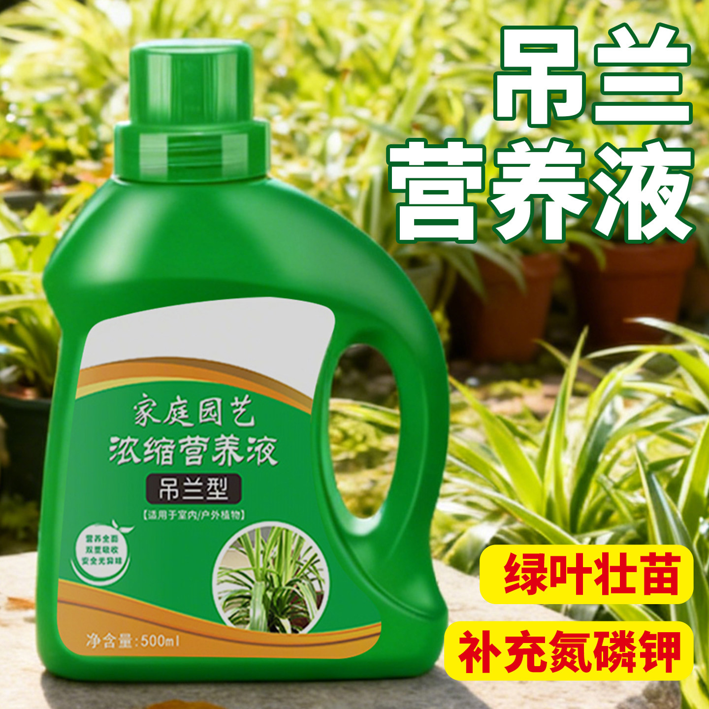 金边吊兰专用营养液花肥水培金鱼吊兰专用肥料黄叶焦尖液体水溶肥