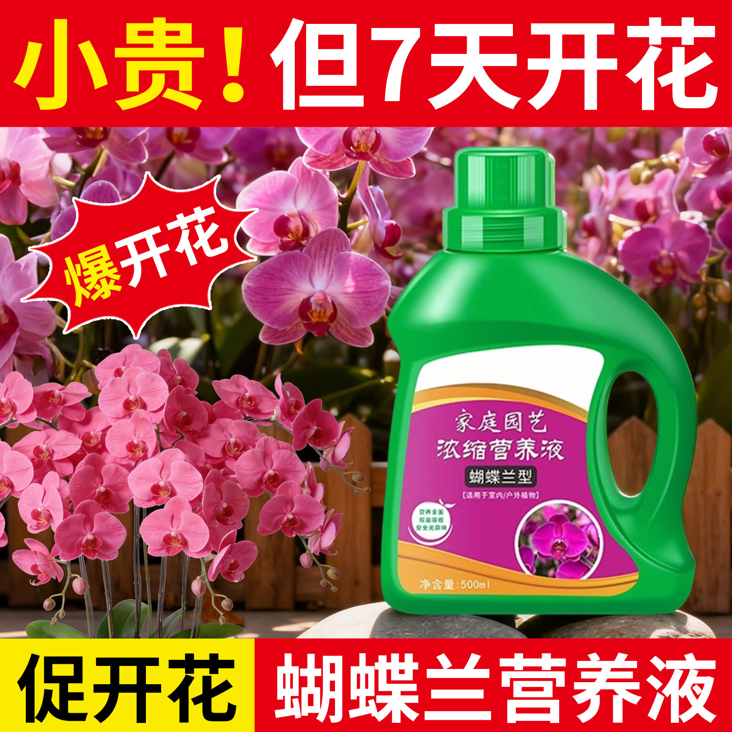 蝴蝶兰营养液专用促花箭开花肥催促花剑防黄叶催剑剂多箭爆芽肥料,鲜花速递/花卉仿真/绿植园艺,家庭园艺肥料,淘宝优惠券,粉丝福利购,淘宝优惠卷