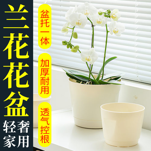 兰花花盆专用塑料家用蝴蝶兰树脂水培多肉加仑龟背竹绿萝三角梅
