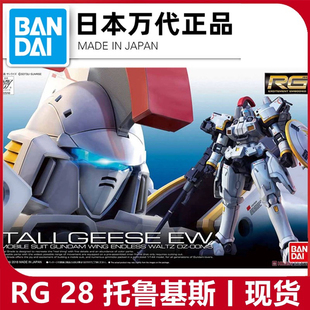 包邮红标万代 RG28多鲁基斯托鲁杰斯 EW拼装模型机动战士高达