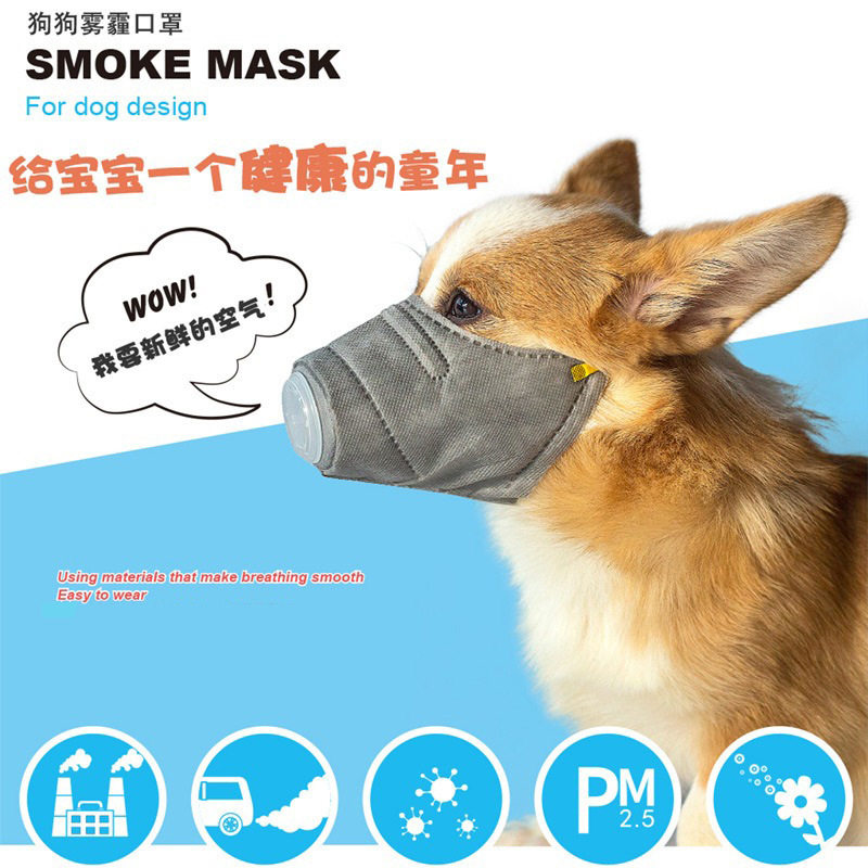 防雾霾宠物口罩狗嘴套防尘口罩图片