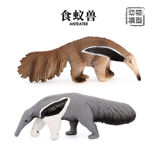食蚁兽模型 仿真野生动物场景摆件 儿童玩具认知手办玩偶