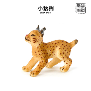 小猞猁 模型 仿真野生山猫动物 场景摆件儿童早教玩具3岁以上