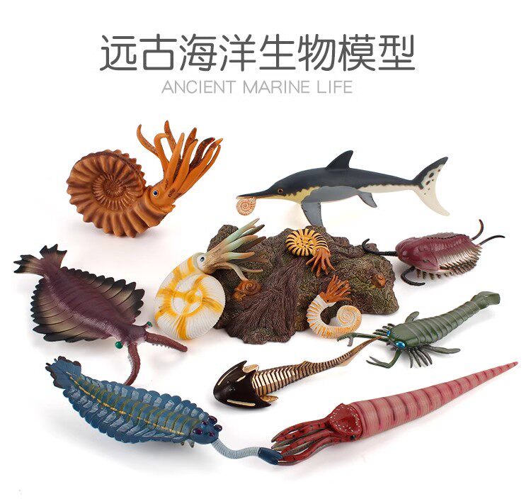 12种远古海洋生物模型仿真鹦鹉海蝎三叶虫菊石角石奇虾摆件玩具