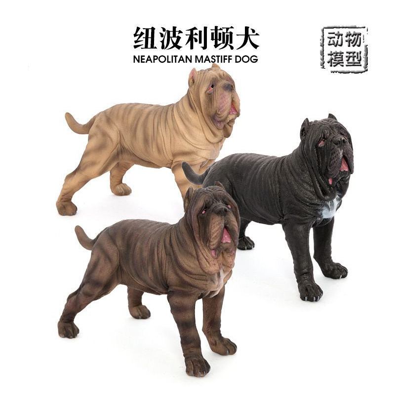 3纽波利顿犬模型意大利纽波利顿獒犬宠物狗摆件儿童玩具早教