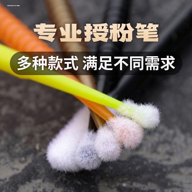 花果蔬菜多肉授粉笔 生石花授粉神器 肉锥景天植物通用授粉棒工具