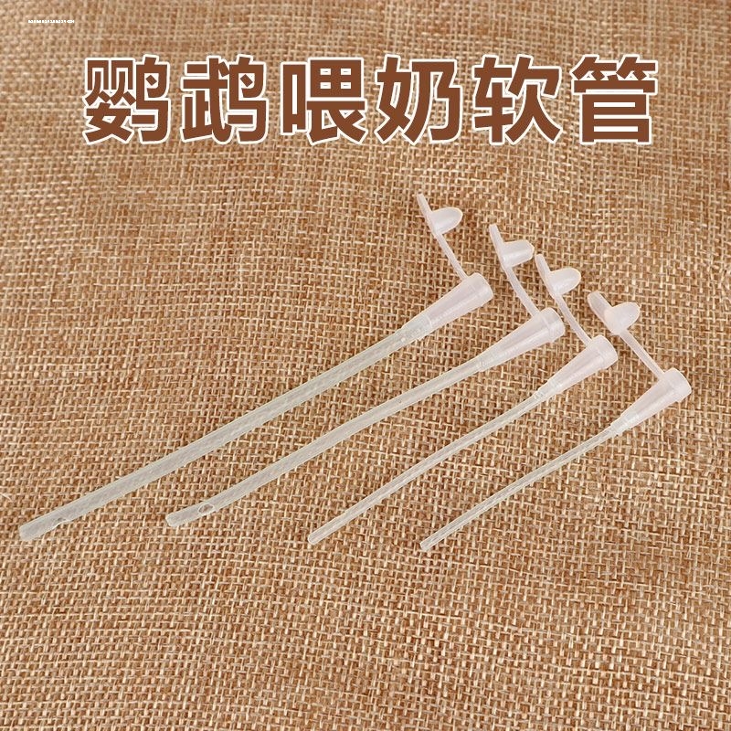 雏鸟幼鸽子鹦鹉斑鸠鸡鸟蛇喂药器注射针筒喂奶器灌胃管喂食器软管