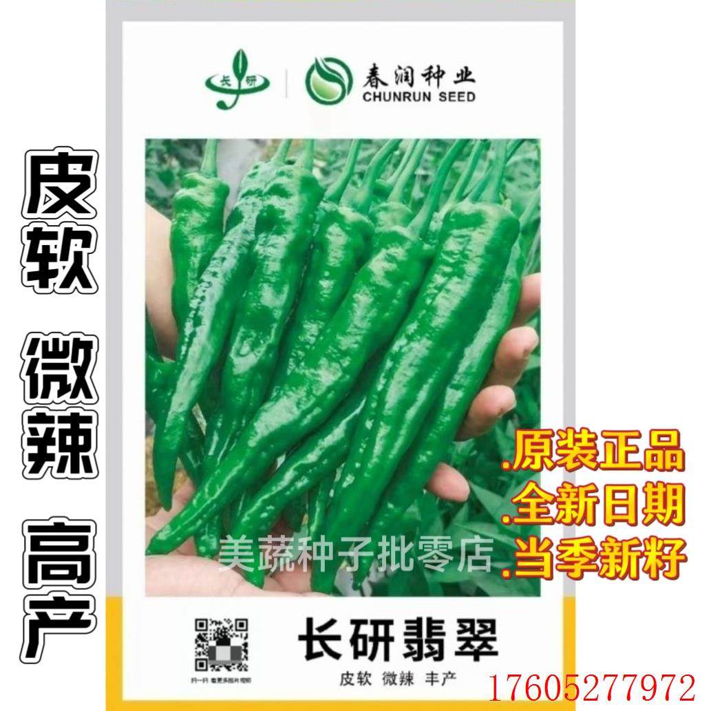 春润长研翡翠辣椒种子软皮辣椒种籽牛角形微辣正宗软皮椒种孑春秋