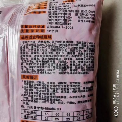 国审良玉99大田饲料玉米种子高产抗病抗旱抗到早熟杂交种玉米种籽