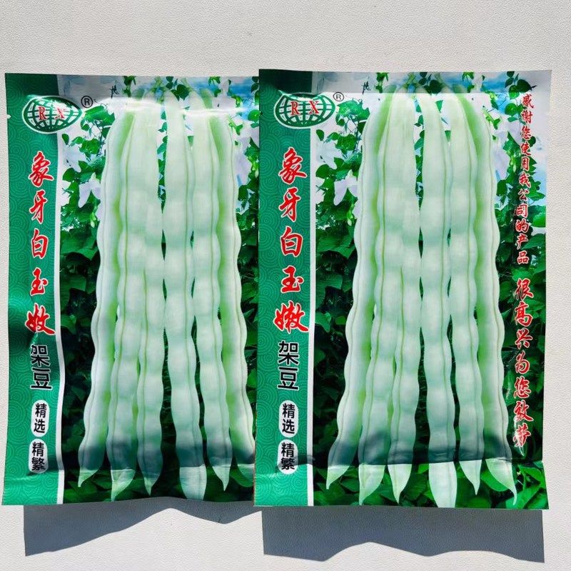 象牙白玉嫩架豆种子高产早熟四季豆蔬菜种子春秋大田摘不败原包装