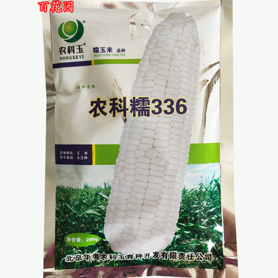 农科糯336玉米甜加糯国审鲜食包谷甜糯粒1比3华奥农科玉种籽原装