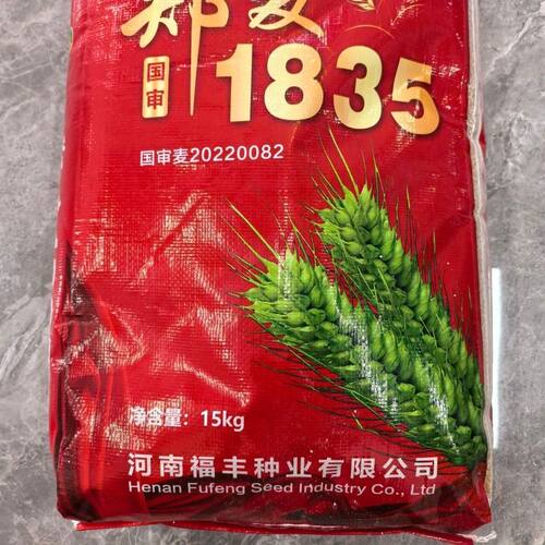 国审郑麦1835小麦种子原厂正品早熟高产稳产抗冻抗病抗倒强筋小麦