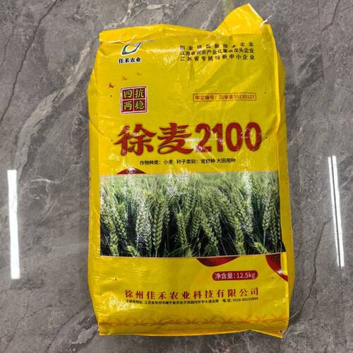 徐麦2100国审麦小麦种抗高产抗病半冬性原装发货看清区域