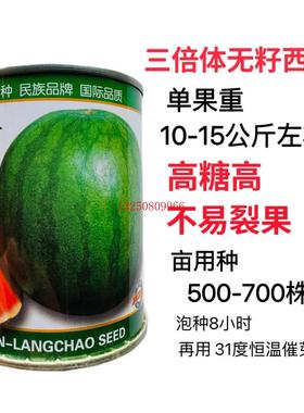 浪潮一号无籽西瓜种子皮薄瓜瓤质脆汁多耐重茬耐贮运西瓜南北方播