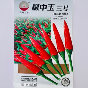 云冠万农椒中玉三号朝天椒种子三系杂交中早熟单生朝天椒辣椒种籽