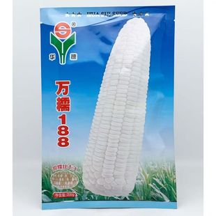 华穗万糯188白糯玉米种籽高产大棒加甜糯白粘糯玉米种4斤装200克