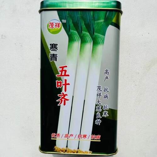 寒青五叶齐大葱植株正宗章丘大葱种籽铁杆大梧桐快葱抗风抗病抗寒