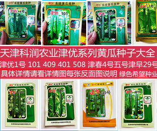 天津津优黄瓜种子大全种子津优1号4号5号黄瓜种子春夏秋露地大棚