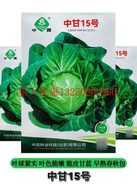 中甘甘蓝种子号包心菜种子洋白菜松软甘蓝种子耐热春夏秋季播