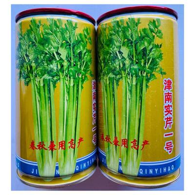 津南实芹一号叶色油绿生长快速四季香芹春秋兼用高产型耐抽苔品种