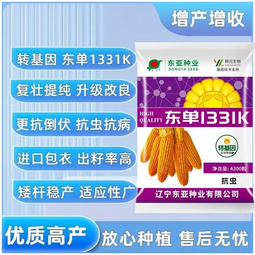 正品抗虫版东单1331k全新包装全新种子高产原装