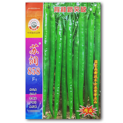 苏润线椒种子苏润858辣椒种子 一代杂交高产优质良种抗病基地种孑