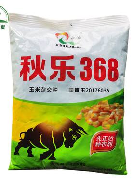 秋乐368玉米种子国审抗倒矮杆大棒4200粒/袋大田玉米种籽