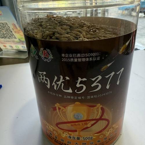 荃银两优5377杂交水稻种子中下游一季中稻全抗病高产抗倒伏春季播