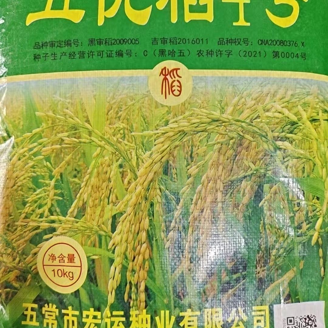 五优稻4号稻花香2号五常大米优质水稻种子五常市宏运种业水稻种子