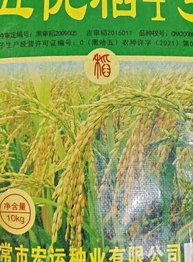 五优稻4号稻花香2号五常大米优质水稻种子五常市宏运种业水稻种子