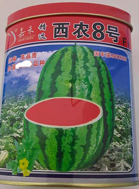 嘉禾西农8号西瓜种子 椭圆形条纹西瓜种籽耐重茬抗病大田专用高产