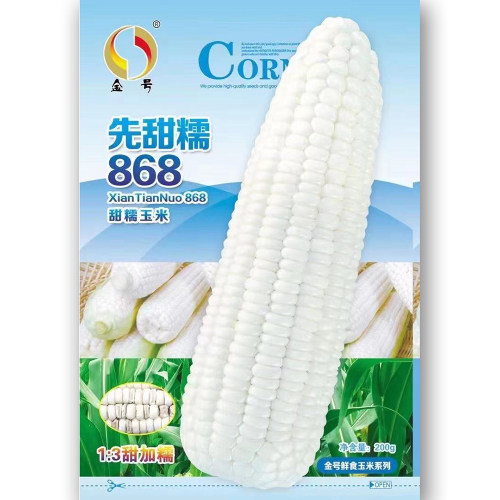 先甜糯868 白甜糯玉米种子长势强双胞胎率高甜加糯玉米籽大田种孑