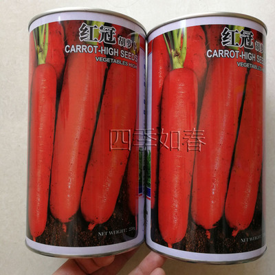 籽杂交胡萝卜新品种种籽胡萝卜秋季种子胡萝卜国外引进红冠红