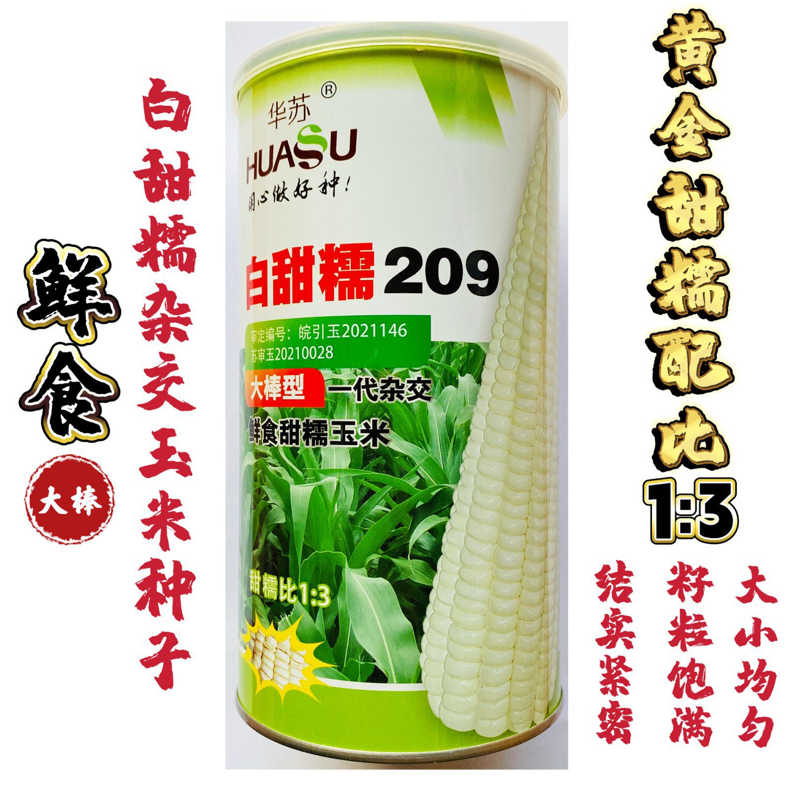 华苏白甜糯209白糯玉米种子大棒型鲜食甜糯玉米籽高产白糯玉米籽d